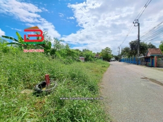 LINE_ALBUM_011278LDวัชรพล3_251103_7