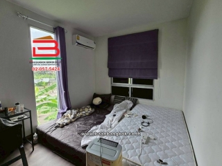 LINE_ALBUM_No.11346 ม.พฤกษาไลท์ล็อก เทิดราชัน45_251110_13