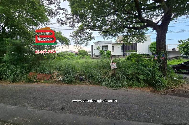 ที่ดินเปล่า เนื้อที่ 100 ตร.ว. เสรีไทย 43 แยก 1, ใกล้จุดขึ้นลงมอเตอร์เวย์บางนา-บางปะอิน ถนนเสรีไทย แขวงคลองกุ่ม เขตบึงกุ่ม 