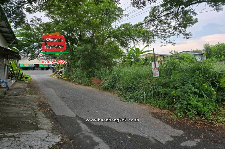 LINE_ALBUM_No.11348ที่ดิน100วาเสรีไทย43_251110_9