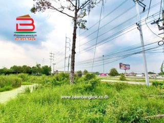 LINE_ALBUM_No.11287 LD.ซอยหนองระแหง 51 2-2-69 ไร่ (เอ๋)_251117_13