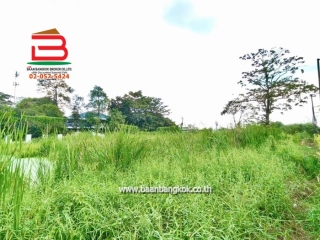 LINE_ALBUM_No.11287 LD.ซอยหนองระแหง 51 2-2-69 ไร่ (เอ๋)_251117_15