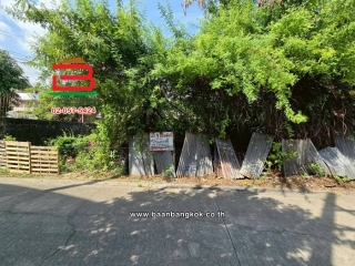 11372, ที่ดินเปล่า เนื้อที่ 108 ตร.ว. ซอยงามวงศ์วาน 9 แยก 9 & ซอยงามวงศ์วาน 3 แยก 6, ใกล้ปั้มบางจาก ถนนงามวงศ์วาน ตำบลบางเขน อำเภอเมืองนนทบุรี นนทบุรี 