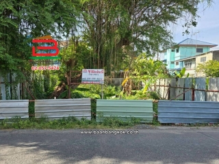 LINE_ALBUM_No.11392ที่ดิน30วา.เปรมฤทัย(Open)_251201_9