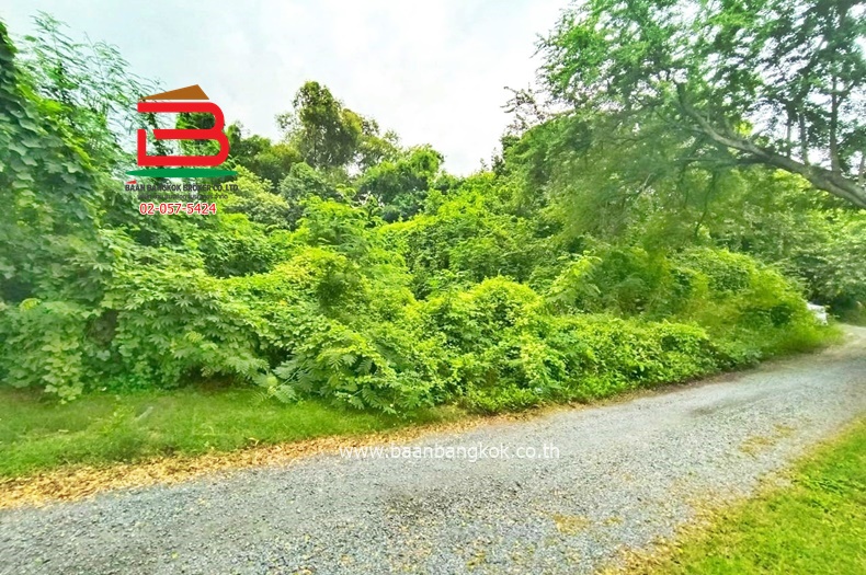 LINE_ALBUM_No.11158ที่ดินเปล่า ซ.ร่วมสุข419(ซซ.บ้านพักคนชรา)_251201_4