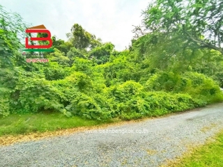 LINE_ALBUM_No.11158ที่ดินเปล่า ซ.ร่วมสุข419(ซซ.บ้านพักคนชรา)_251201_4