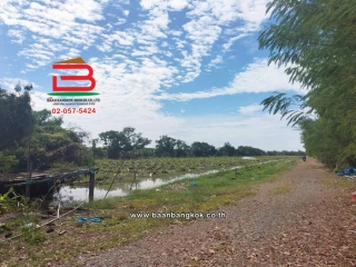 LINE_ALBUM_N.11423ที่ดิน44ไร่หนองเสืลลอคลอง11ปทุมธานี_251215_15