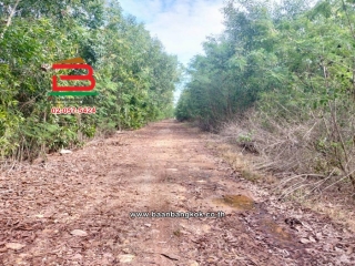 LINE_ALBUM_N.11423ที่ดิน44ไร่หนองเสืลลอคลอง11ปทุมธานี_251215_18