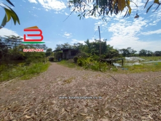 LINE_ALBUM_N.11423ที่ดิน44ไร่หนองเสืลลอคลอง11ปทุมธานี_251215_22