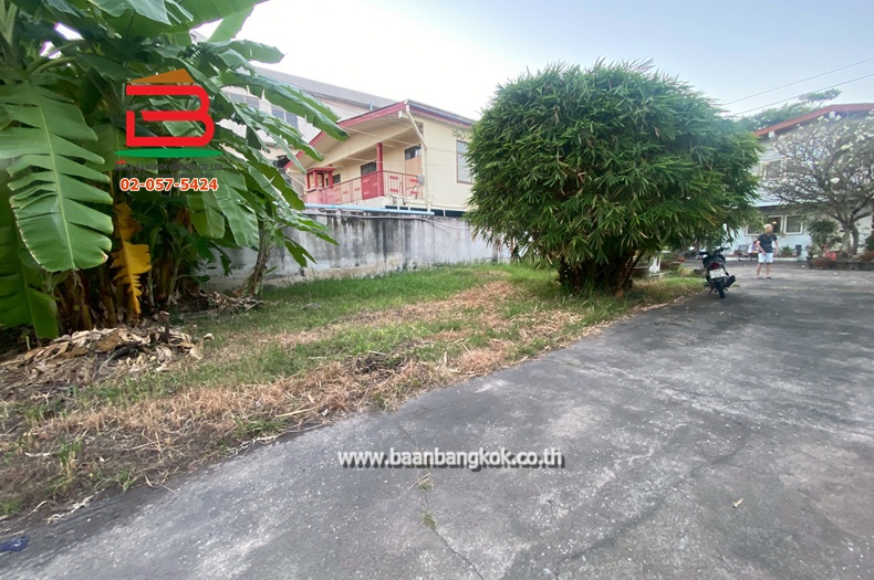 LINE_ALBUM_N 11502_251224_6