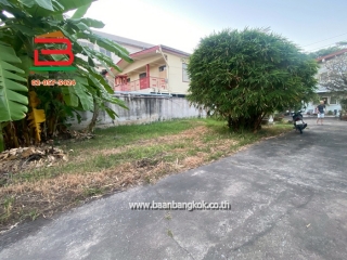 LINE_ALBUM_N 11502_251224_6