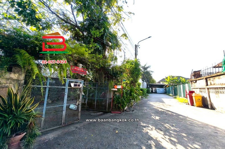 LINE_ALBUM_L.11444ที่ดืน+บ้าน100วาSK64Lek_260105_11