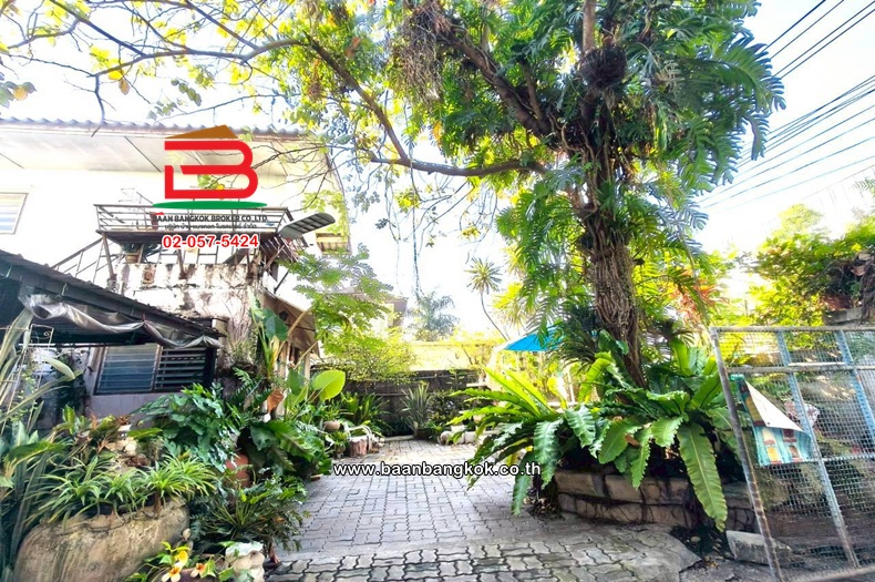 LINE_ALBUM_L.11444ที่ดืน+บ้าน100วาSK64Lek_260105_8