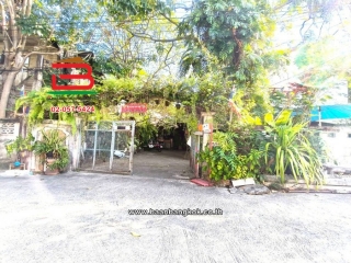 LINE_ALBUM_L.11444ที่ดืน+บ้าน100วาSK64Lek_260105_10