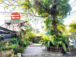 LINE_ALBUM_L.11444ที่ดืน+บ้าน100วาSK64Lek_260105_8