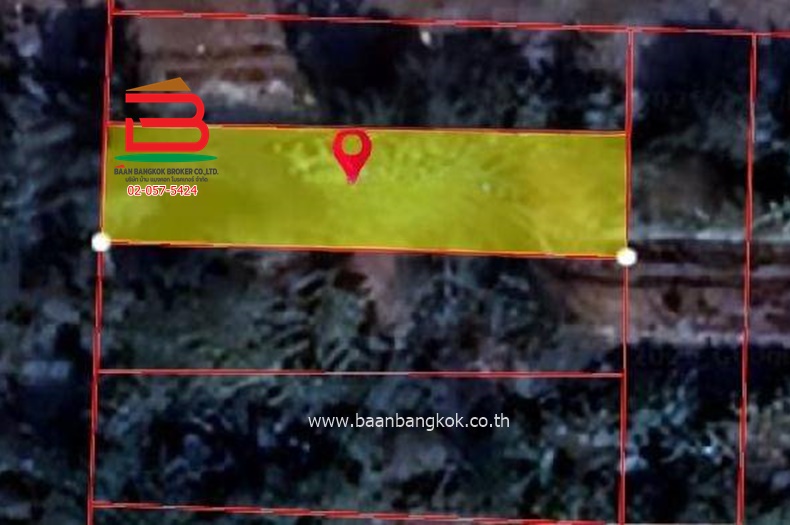 ที่ดิน (ยังไม่ถม) ลำไทรซอย 7 ลำลูกกาคลอง 12 (ใกล้มอเตอร์เวย์บางปะอิน-บางนา) เนื้อที่ 98 ตรว. ตำบลลำไทร อำเภอลำลูกกา ปทุมธานี 