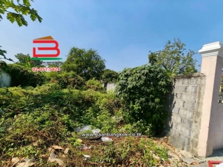 LINE_ALBUM_L.11522ที่ดิน200วาทวีวัฒนาหนองแขมLek_260106_10