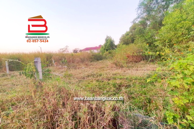 LINE_ALBUM__11360 ที่ดินเปล่า100วาซอยเลียบวารี39_260112_12