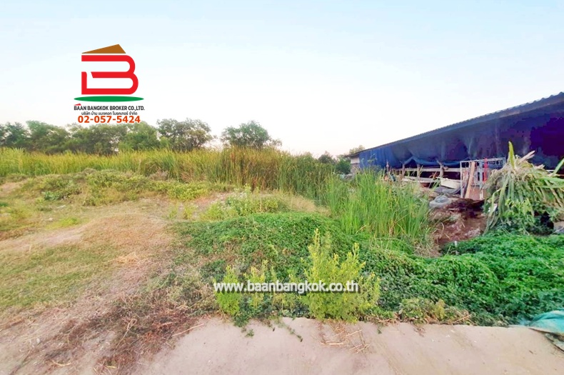 ที่ดินเปล่า เนื้อที่ 100 ตร.ว. ซอยเลียบวารี 39 ถนนเลียบวารี แขวงโคกแฝด เขตหนองจอก