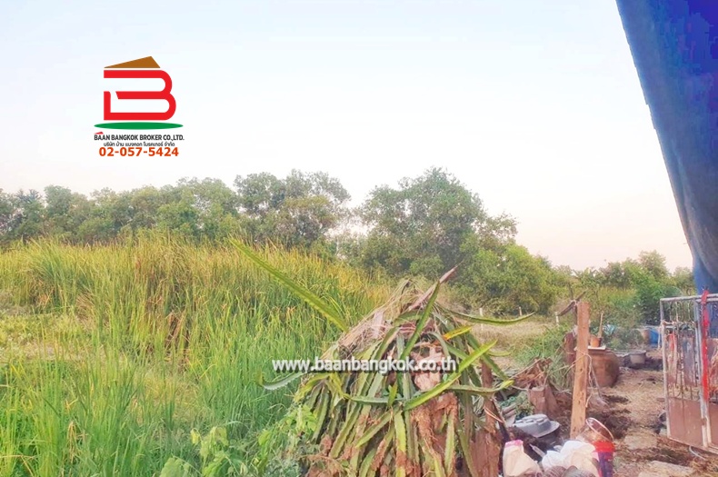 LINE_ALBUM__11360 ที่ดินเปล่า100วาซอยเลียบวารี39_260112_9