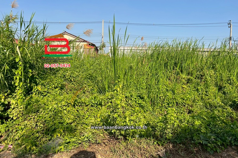 LINE_ALBUM_N11151 LD.99.3va. ซอย.แสมดำ5_260110_3