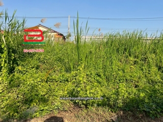 LINE_ALBUM_N11151 LD.99.3va. ซอย.แสมดำ5_260110_3