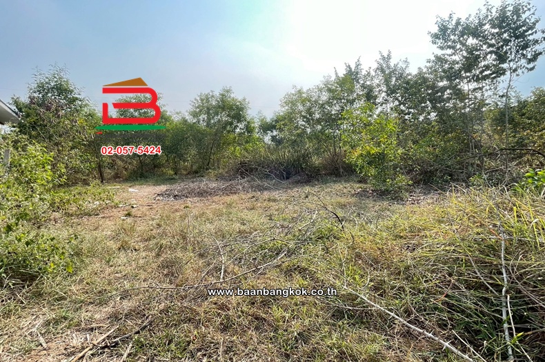 LINE_ALBUM_No.011622 ที่ดินเปล่า ซ.อยู่รวยแลนด์ หนองเสือ(ส้ม)_260119_6