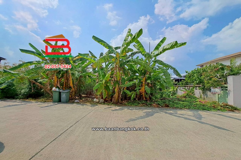 ที่ดินเปล่า เนื้อที่ 210 ตร.ว. หมู่บ้านเปรมวดี (พุทธมณฑลสาย 3 ซอย 19) ถนนพุทธมณฑลสาย 3 แขวงบางระมาด เขตตลิ่งชัน