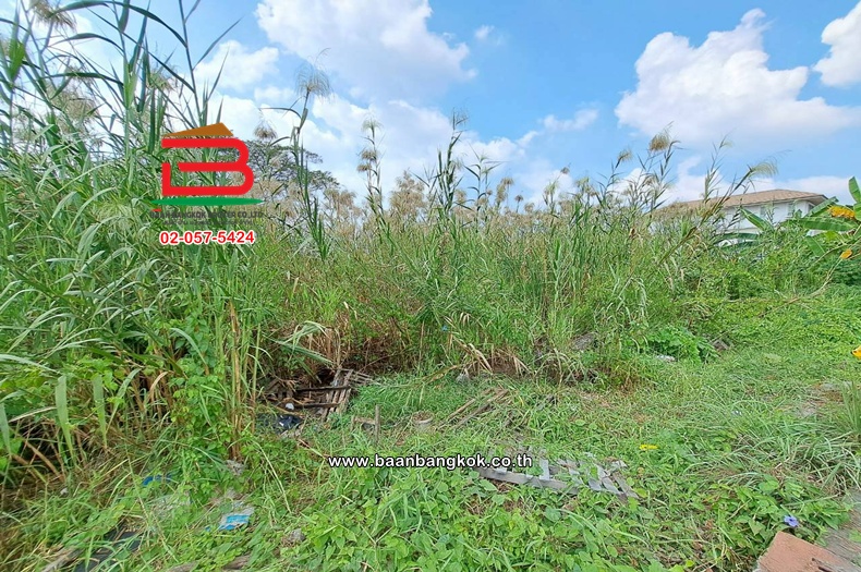 LINE_ALBUM_011279LDพุทธมณฑลสาย3_260119_9