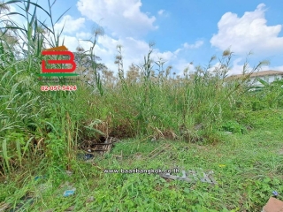 LINE_ALBUM_011279LDพุทธมณฑลสาย3_260119_9