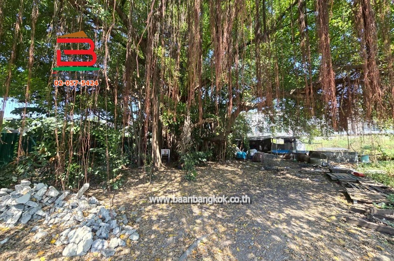 LINE_ALBUM_No.11627ที่ดิน1ไร่44ตรว.อ่อนนุช66_260127_9