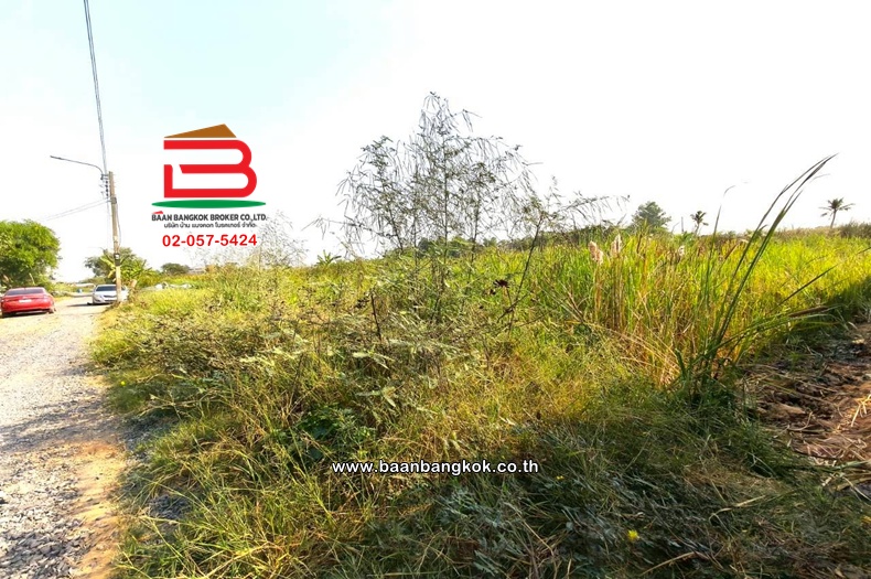 LINE_ALBUM_L.11524ที่ดิน396วาสุวินทวงศ์51Lek_260121_12