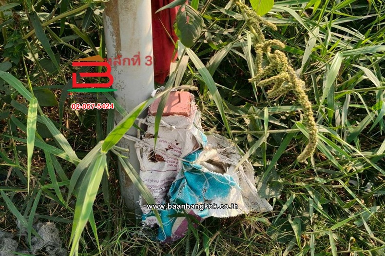 LINE_ALBUM_L.11524ที่ดิน396วาสุวินทวงศ์51Lek_260121_6