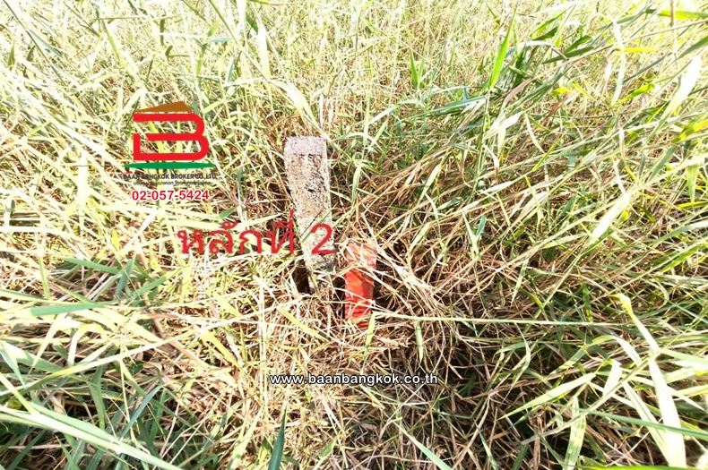 LINE_ALBUM_L.11524ที่ดิน396วาสุวินทวงศ์51Lek_260121_7