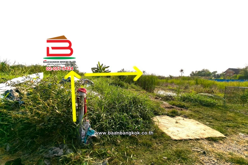 LINE_ALBUM_L.11524ที่ดิน396วาสุวินทวงศ์51Lek_260121_9