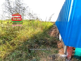 LINE_ALBUM_L.11524ที่ดิน396วาสุวินทวงศ์51Lek_260121_11