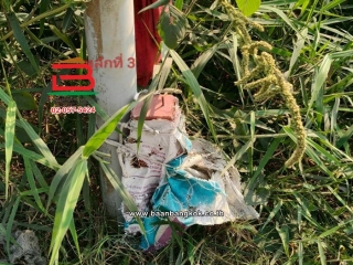 LINE_ALBUM_L.11524ที่ดิน396วาสุวินทวงศ์51Lek_260121_6