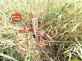 LINE_ALBUM_L.11524ที่ดิน396วาสุวินทวงศ์51Lek_260121_7