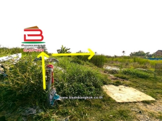 LINE_ALBUM_L.11524ที่ดิน396วาสุวินทวงศ์51Lek_260121_9