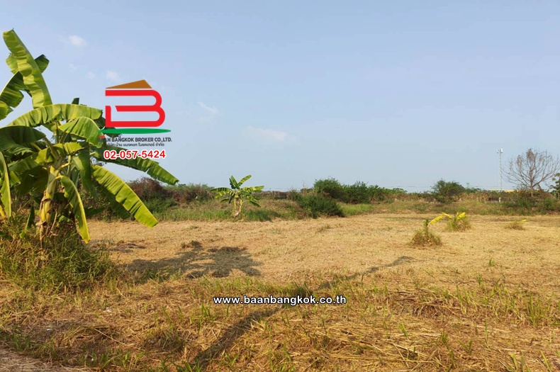 LINE_ALBUM_No. 011554 LD 1-12  ตรว. เดอะลากูน1-2_260202_29