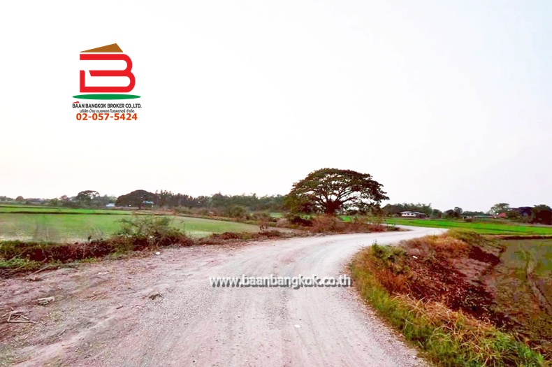 LINE_ALBUM_No. 011549 LD 25-1-56  ไร่ สุพรรณบุรี_260202_11