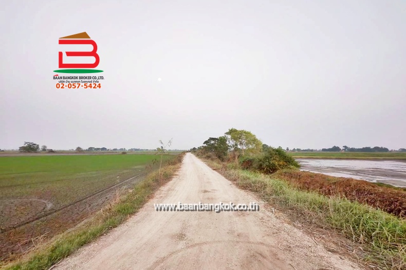 LINE_ALBUM_No. 011549 LD 25-1-56  ไร่ สุพรรณบุรี_260202_12