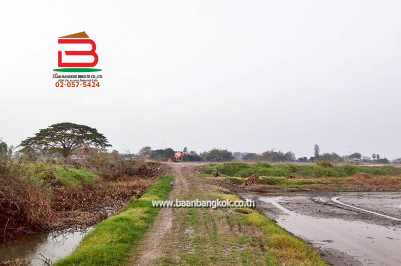 LINE_ALBUM_No. 011549 LD 25-1-56  ไร่ สุพรรณบุรี_260202_15