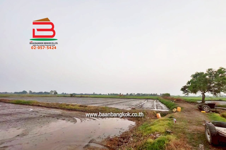 LINE_ALBUM_No. 011549 LD 25-1-56  ไร่ สุพรรณบุรี_260202_16