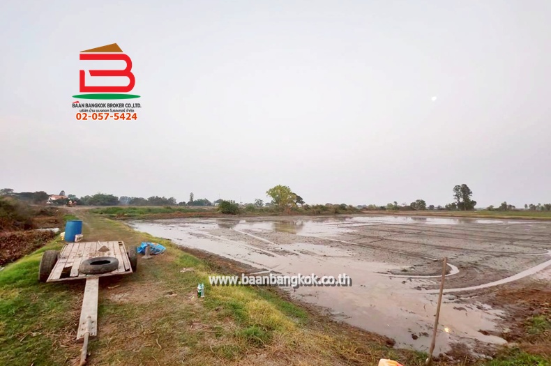 LINE_ALBUM_No. 011549 LD 25-1-56  ไร่ สุพรรณบุรี_260202_17