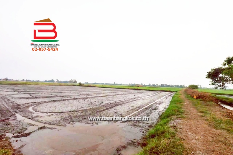 LINE_ALBUM_No. 011549 LD 25-1-56  ไร่ สุพรรณบุรี_260202_18