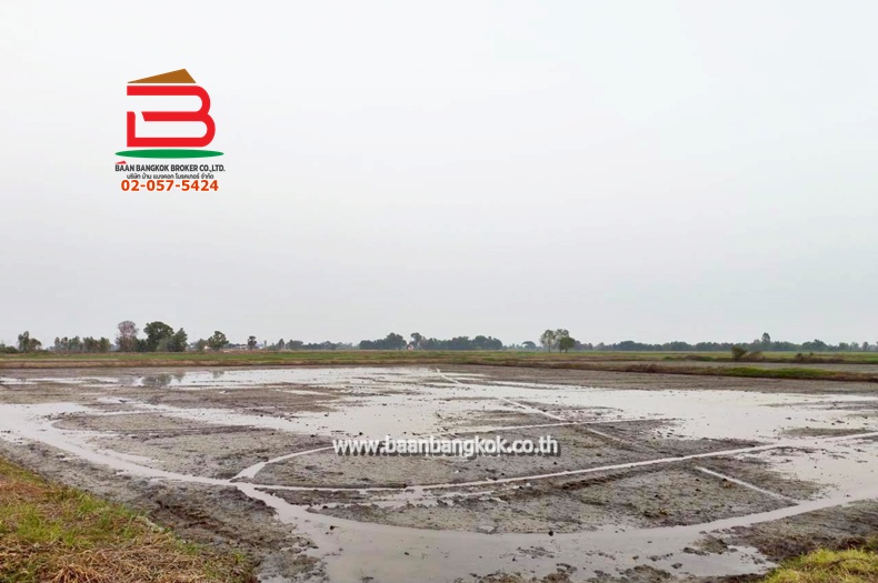 LINE_ALBUM_No. 011549 LD 25-1-56  ไร่ สุพรรณบุรี_260202_20