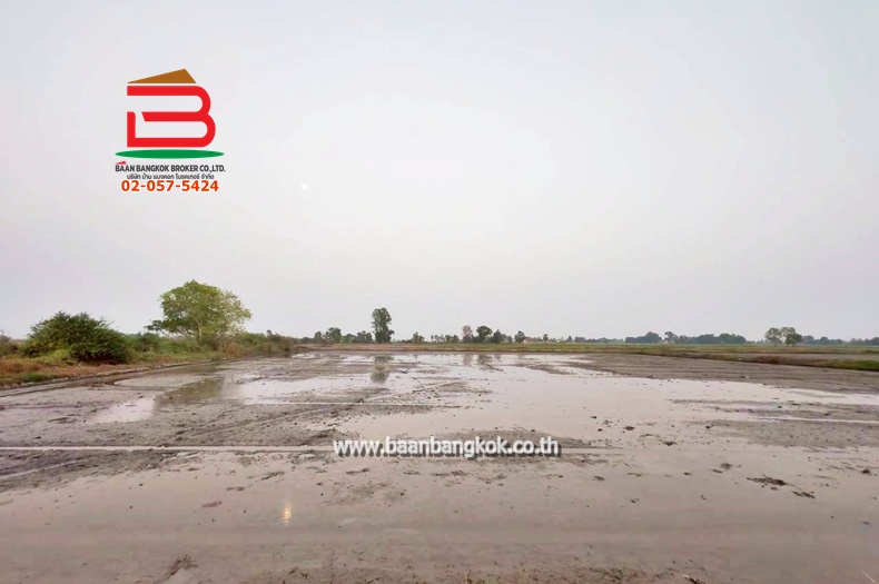 LINE_ALBUM_No. 011549 LD 25-1-56  ไร่ สุพรรณบุรี_260202_21