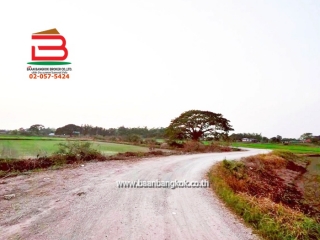 LINE_ALBUM_No. 011549 LD 25-1-56  ไร่ สุพรรณบุรี_260202_11