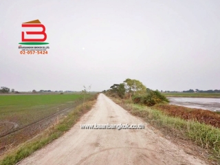 LINE_ALBUM_No. 011549 LD 25-1-56  ไร่ สุพรรณบุรี_260202_12